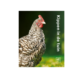 Kippen in de tuin