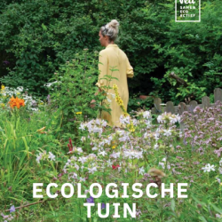 Ecologische tuin: van aanleg tot beheer