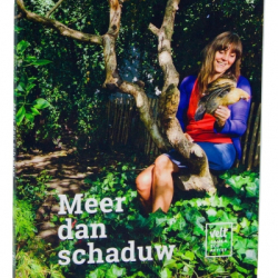 Meer dan schaduw